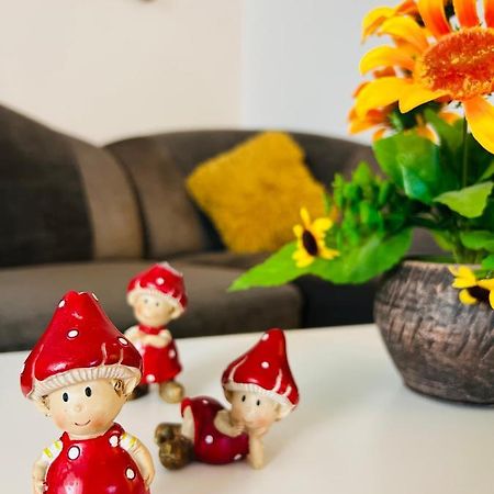 Apartament House51 Braszów Zewnętrze zdjęcie