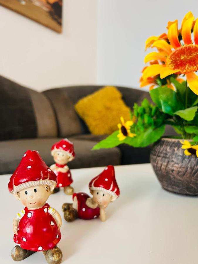 Apartament House51 Braszów Zewnętrze zdjęcie