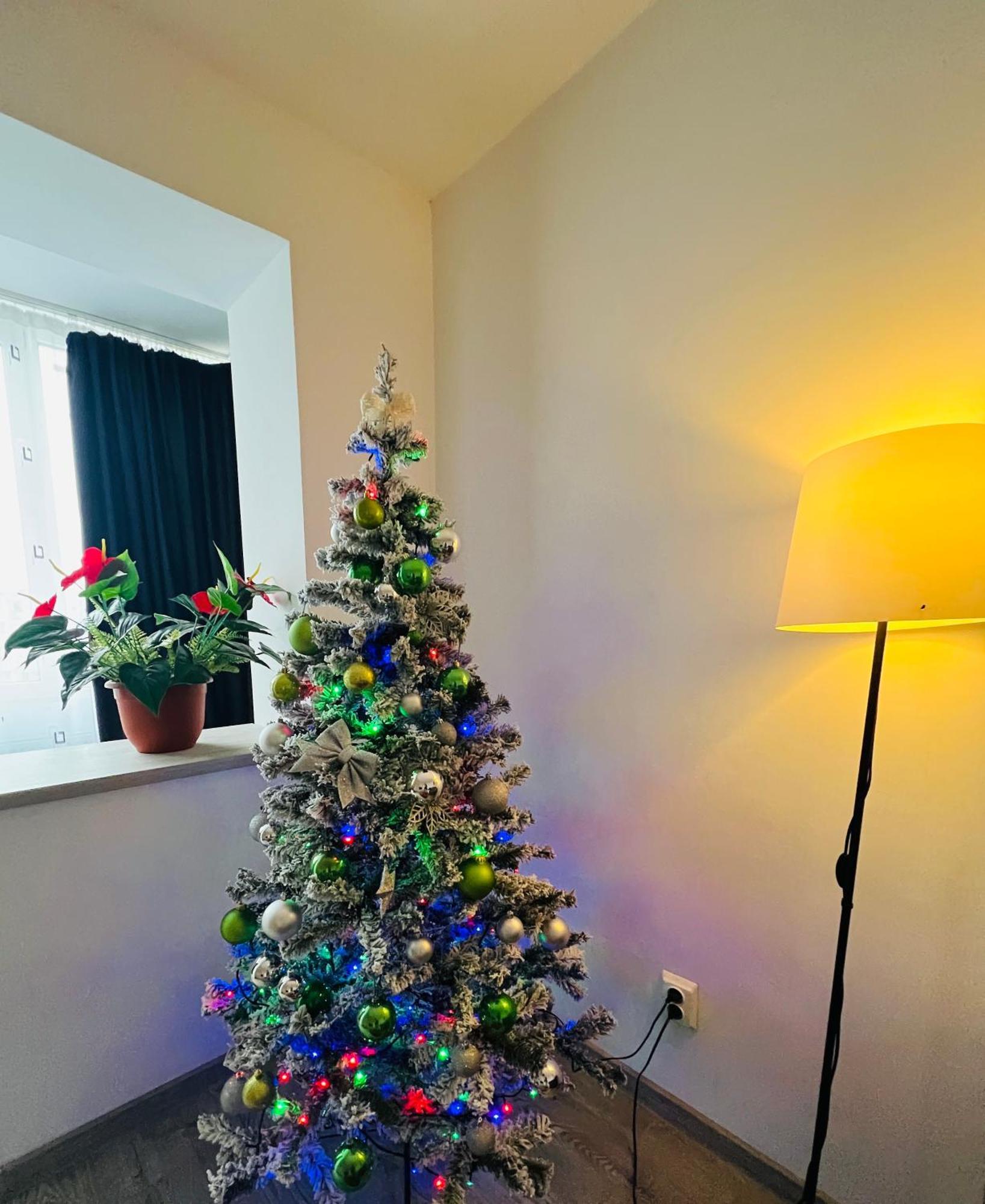 Apartament House51 Braszów Zewnętrze zdjęcie
